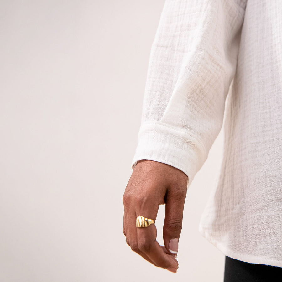 The Summer Capsule